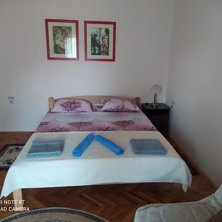 Prenociste Aleksandar Hotel Golubac Ngoại thất bức ảnh